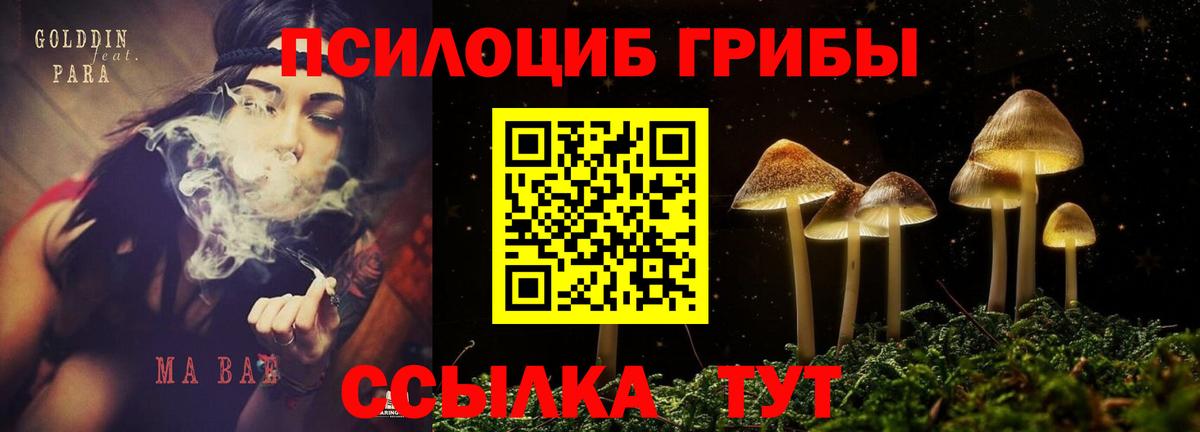 Галлюциногенные грибы Magic Shrooms Ипатово